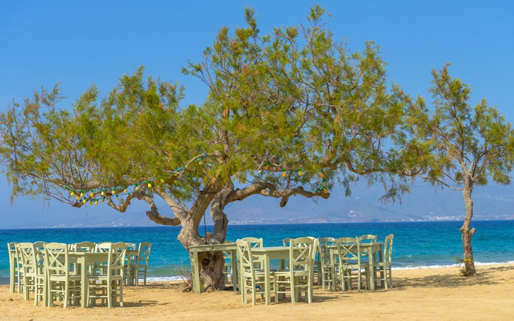 naxos taverna