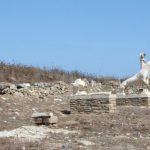 Daily Excursions to Delos Bringing You Closer to the Ancient Spirit