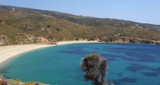 andros