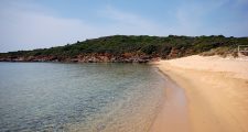 Andros Psili Ammos Beach